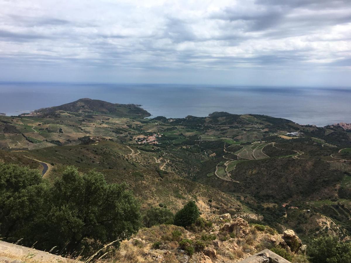Vue Panoramique Exceptionnelle L T2 Mezzanine Luxueux * Banyuls-sur-Mer